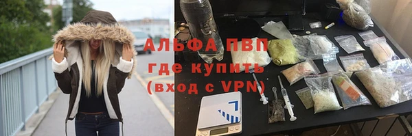 mdpv Белокуриха