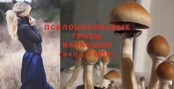 mdpv Белокуриха
