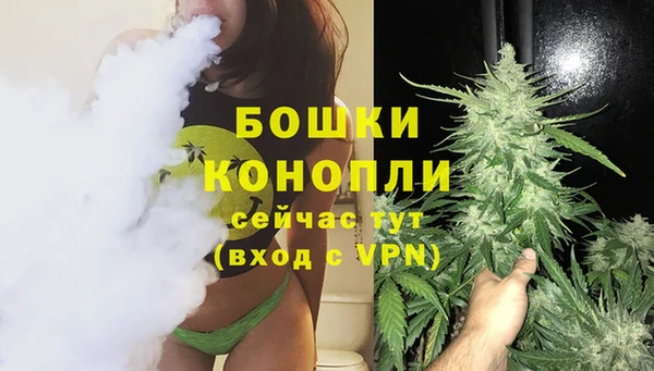 mdpv Белокуриха