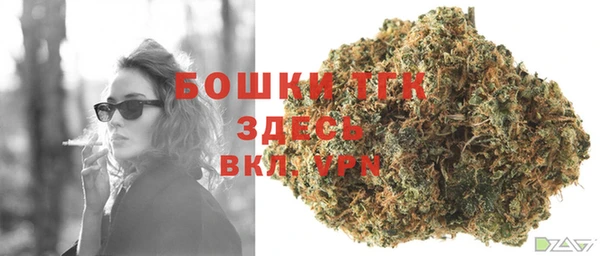 mdpv Белокуриха