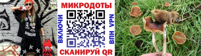 ОМГ ОМГ   Крымск  Псилоцибиновые грибы Psilocybe 